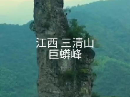 江西三清山巨蟒峰,三对男女攀岩……#惊险刺激 #攀岩#悬崖峭壁 #遵守法规