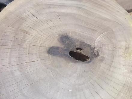 核桃木菜墩美容全过程,变废为宝!