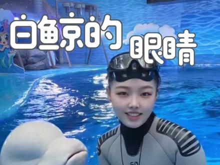 白鲸会流泪吗?当然是不会啦#白鲸 #成都极地海洋公园