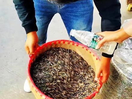 瓜子里面加的是什么 #科普 #瓜子