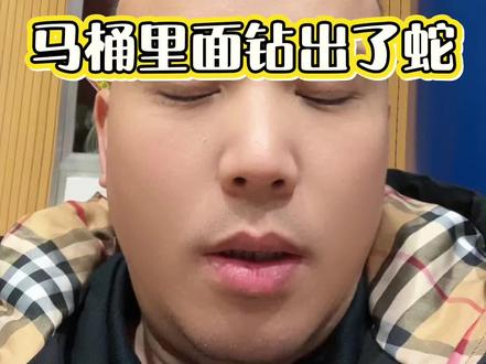 马桶里面钻出了蛇 #马桶 #蛇 #长沙代运营