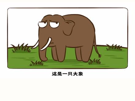 来认识一下聪明又“温顺”的大象吧#冷知识 #大象 #夏日科普星探企划