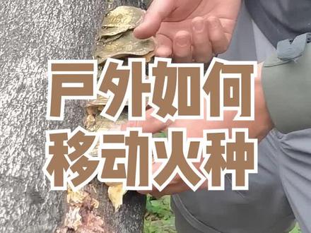 户外怎么移动火种?用这个办法帮你解决! #户外 #野外生存 #露营