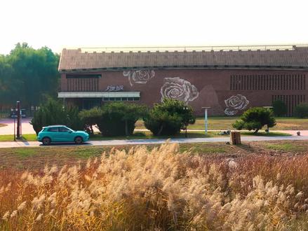 欧拉5 | 官方教程,快速入门 #欧拉5 #汽车 #长城汽车 #欧拉