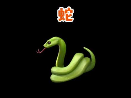 鉴定网友遇到的7种蛇类 视频来自网络掠夺
本节看点:灰鼠蛇-锈链腹链蛇-尖鳞原矛头蝮-赤链蛇-舟山眼镜蛇-王锦蛇-虎斑颈槽蛇(牙齿结构解析)
#蛇 #蛇类科普 #蛇出没
