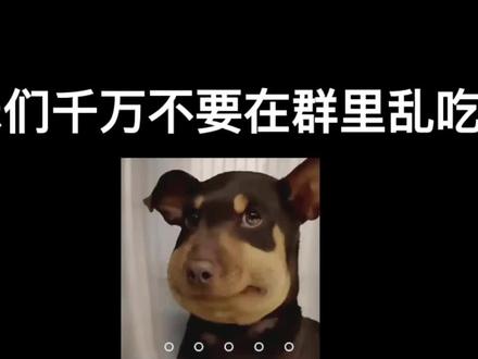 我真的栓q了,吃瓜吃到自己是什么体验…#剧情#大学校园#聊天记录#搞笑 #内容过于真实