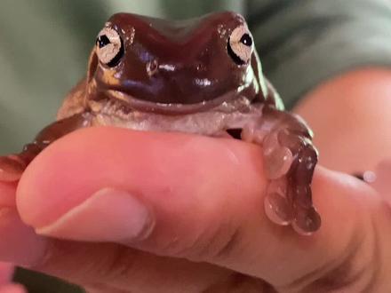 这不比动物园有意思?#堤角花鸟宠物大世界