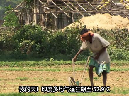 印度高温破52℃!宇宙竟是致命热穹顶元凶? #高温 #全球气候 #地球 #印度高温 #科普