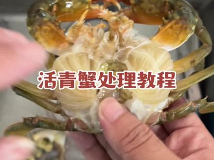 活青蟹处理教程#抖音921好物节 #海鲜原产地 #喜欢吃海鲜的朋友记得关注我哦 #海鲜美食 #螃蟹🦀