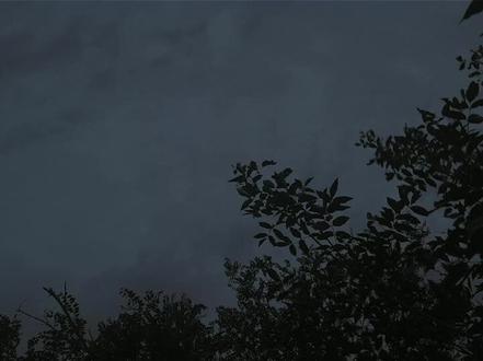 “你缝啊,不是给你爱人缝的吗?”徒弟狠狠的按住他,将那衣袍撕碎。针插入师尊指节,深可触骨。
师尊咳嗽着,想爬起来。
“你……”
“为我?”别假惺惺了!”师尊颤抖着,闭上眼。
不是的。
他的小徒弟,是会手里塞满糖,笑着递给他的人。
是怕他敢冒,踮起脚抚他额头的人。
“师尊难受吗?要是我能替师尊分担就好了。”
师尊失了神,他将他扔在地上走了。
这衣裳是徒弟亲手制的,那时他说“师尊有他就像有我,徒儿暖你。”
师尊坐起来,指间颤抖,他将针拔了。那破碎衣袍,终究补不回来。
“师尊我好想你,你想我吗?”信纸上,字记未变。师尊有时盯着看很久。
藤花繁落。
战乱平抚,听说是一位仙君献魄平了魔尊的反噬。
尸山中,徒弟找到了他,师尊白衣上都是血,尸身都不是完好的。
他呆坐其中,那双残破的手,终究不再抬起。
小时,师尊揉着他的头,徒弟笑了,觉着他是世上最好看的人。
可那天雨中,师尊持伞等他,徒弟却视而不见,径直走过。
大雨倾盆,师尊立了好久。
他也许永远不会知道,师尊那双握兵刃的手,为他缝补衣袍,弄得满手是血。
也想留住那份温情。
原创