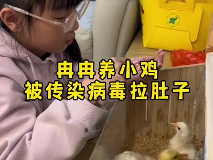 有些后悔让冉冉养套圈套来的小鸡了!给她要生病了!早知道自己孵化小鸡给她养好了!#和冉冉一起长大 #小鸡 #孩子养小鸡生病 #爸爸带娃 #亲子陪伴