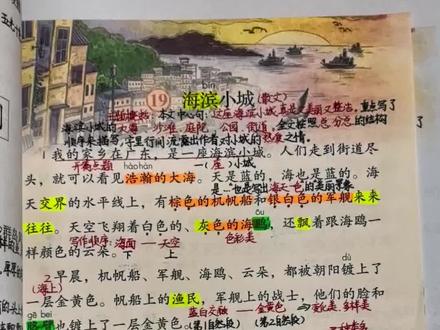 #三年级上册语文 三年级上册语文《海滨小城》重点讲解#知识点总结