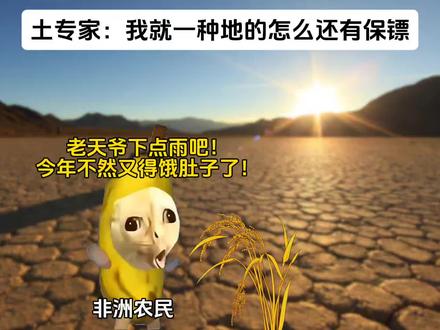 重生之我在非洲种水稻 他们却拥立我为军师#猫meme#真实事件#结局想不到#猫meme小剧场