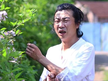 野蔷薇用红茶工艺手工制作,家庭版简单易学。野花比家养的多了一份野性。口感不错。#蔷薇花 #花红茶 #手工制茶 #茶生活