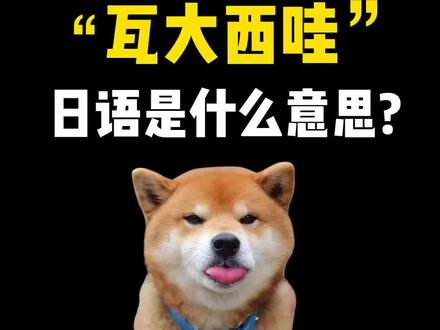 "瓦达西瓦“日语是什么 意思#散装日语日语教学 #日语