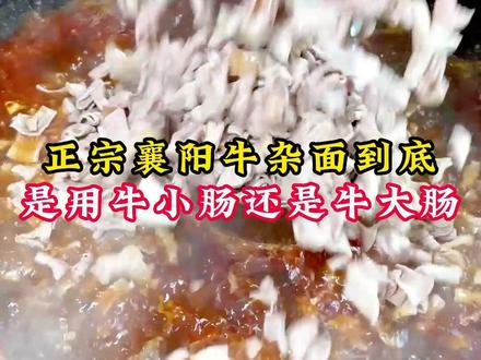 你知道襄阳牛杂面到底是用牛小肠还是牛大肠做的吗#牛杂面 #襄阳牛肉面 #粉面培训 #餐饮创业