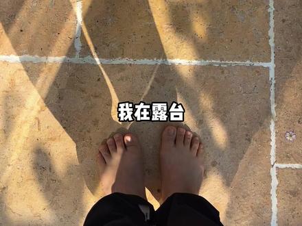 我在露台手搓了一个溪流鱼池童话森林 女儿说想把养了一年的小鱼和小龟们养到露台花园里面去。成都最近也升温了,小龟们出眠了,我买了很多郁金香和其他各种花(冬天种的100多颗郁金香种球全军覆没)猪食槽做溪流缸,又大又轻,不用担心承重问题,真的好用。#当我学会用卡点晒家 #装修 #装修设计 #露台 #露台花园