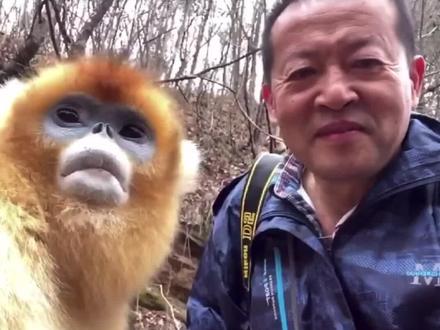 半岛记者被国宝包围啦!@抖音小助手