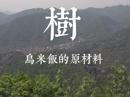 立夏吃这玩意能防暑驱蚊? #健康 #养生 #夏天 #注意防暑