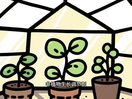 甘氨酸的作用机理,注意事项等干货分享#三农 #科普 #农业种植