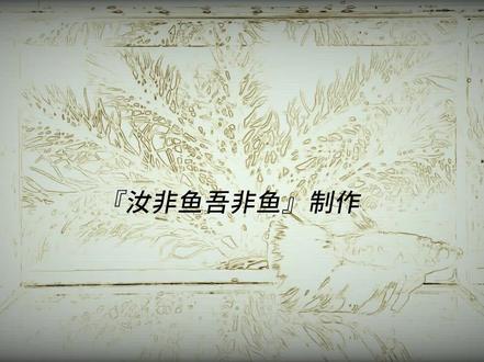 泰国斗鱼饲养记录-08,小鱼缸混养半月斗鱼和黑壳虾会发生什么?#观赏鱼 #泰国斗鱼 #黑壳虾 #半月斗鱼