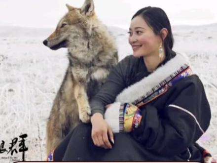 如果我是亦风,我也会跑的,如果我是李微漪,我也会分手的#重返狼群 #狼王格林 #当年的事彼此各有难处 #李微漪 #爱情