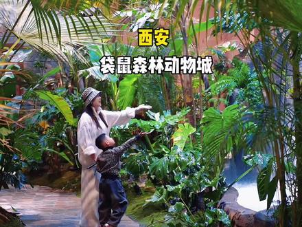 新开的!新开的!2000㎡的沉浸式动物王国,科普+互动+打卡一站式搞定。快去遛娃吧🤗
#袋鼠森林动物城 #西安遛娃 #西安亲子 #室内动物园 #过年去哪儿玩