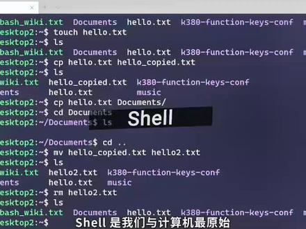 Shell 在我们的日常开发,服务器管理,或者自动化脚本中都常被用到。#程序员 #编程 #学习 #shell #bash