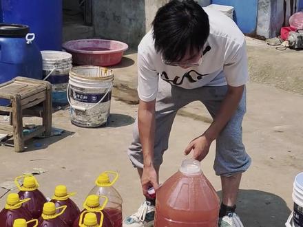 你还不会扩培光合细菌吗?做好四步骤,一次性就能扩培好光合细菌#水产人 #三农 #鱼虾蟹养殖 #水产养殖 #光合细菌扩培方法
