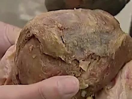 农民杀鸡发现红色肉球,据说价值不菲是鸡宝,医生吓得赶紧让扔掉 #奇闻异事 #云南 #鸡宝 #牛黄 #土鸡