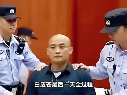 白应苍最后一天全过程。