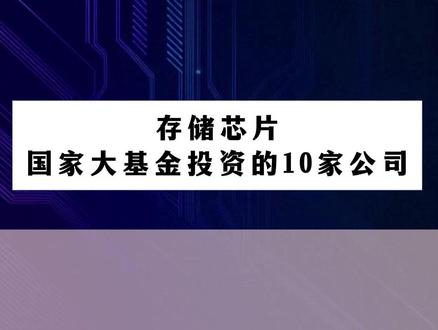 存储芯片,国家大基金投资的10家公司