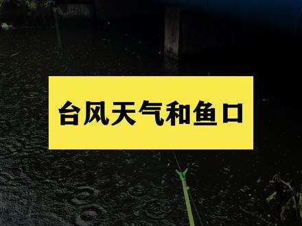 台风天鱼口怎么样 #钓鱼 #台风天 #卡努
