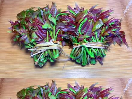 香椿焯水就是大错特错!教你正确做法,鲜香入味又好吃,营养美味 #香椿芽 #春天的味道 #美食教程