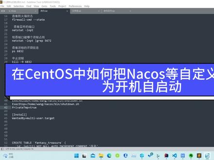 19-在CentOS中如何把Nacos等自定义任务设置为开机自启动 #编程入门 #程序猿 #CentOS