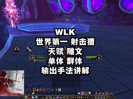 魔兽世界巫妖王之怒WLK 3.35 射击猎 天赋雕文单体群体手法教学 #魔兽