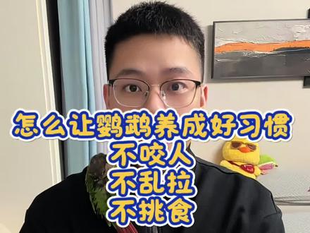 养宠物其实健康最重要,才能陪伴长久#鹦鹉 #鹦鹉咬人 #鹦鹉挑食 #鹦鹉定点排便