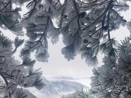 雪后的黄山就是一幅画!
#黄山经纬