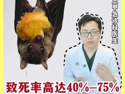 印度尼帕病毒,大家不必恐慌,今天咱们详细讲解一下,#印度尼帕病毒 #尼帕病毒 #印度