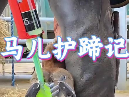 沉浸式修马蹄 #清理达人 #抖音小游戏#解压视频 #解压小游戏 #修马蹄