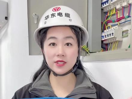 #零线 为什么要绝缘子?#电 #安全用电 #电力 #电线电缆 @抖音小助手