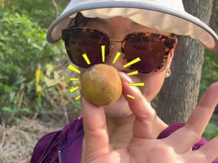记录和妈妈挖野菜的vlog日常,所以恩公到底是什么啊?#琼娘娘 #琼姐的退休生活