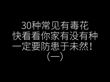 30种常见有毒花,快看看你家有没有,一定要防患于未然!(一)#山东中医药高等专科学校中药系