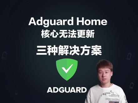 Adguard Home无法更新核心,三种解决方案,任选其一。