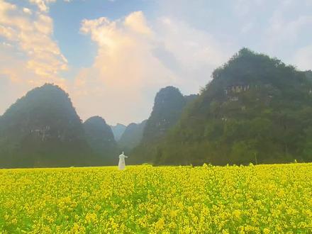 兴义万峰林油菜花中隐藏着一辆迷你小火车,你发现它了吗?快带上对象一起浪漫的火车之旅吧!#贵州兴义 #油菜花