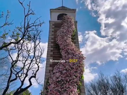 我的2025年度总结教程来咯,不用傻傻套模板,免费的简小映帮你一键生成!#年终总结 #简小映 #我的2025年度回忆 #年度live总结 #2025年除夕倒计时