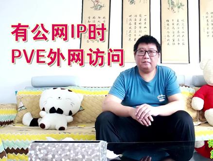 许迎果 第196期 有公网IP时 PVE设置域名访问教程