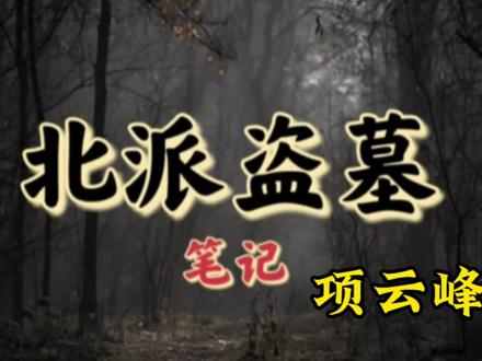 #北派盗墓笔记 #项云峰 #探险 云峰简介了解 关注必回关