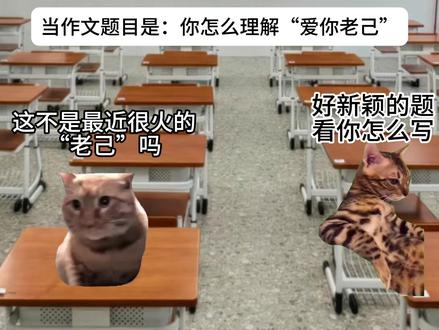 “爱你老己,明天见!”
#猫meme #文案 #语录 #爱你老己明天见