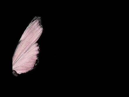 回复 @请明月垂照的评论 #第三十八年夏至